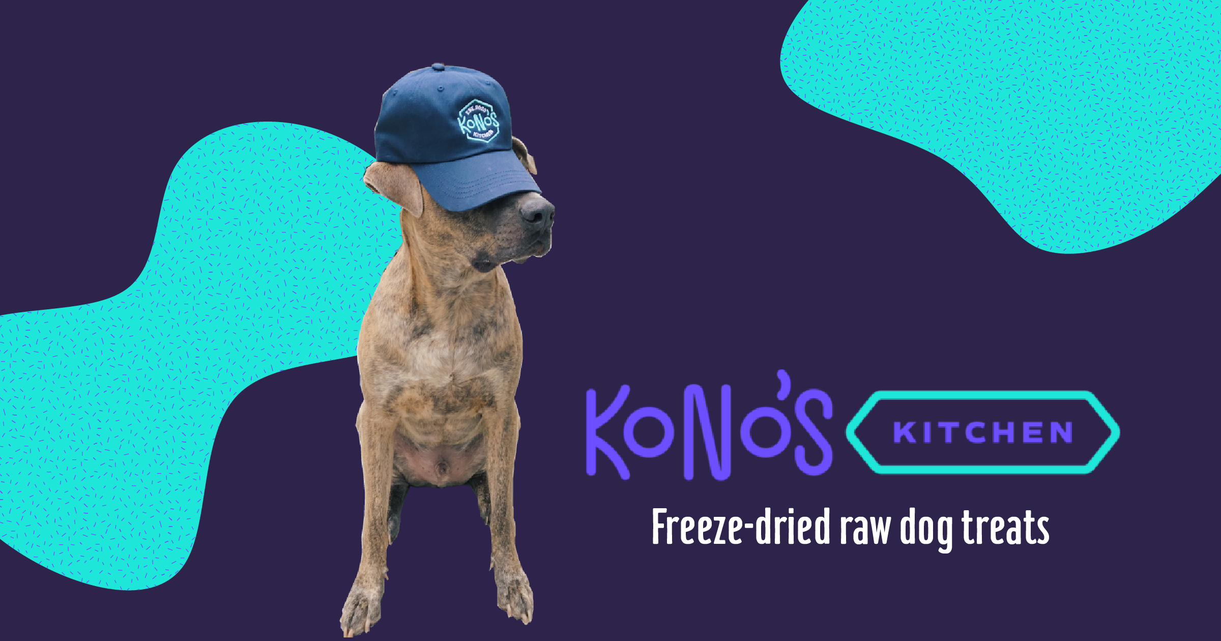KONOS SingleIngredient FreezeDried Raw Treats
